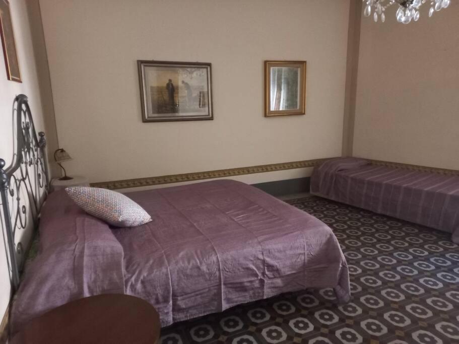 Willa La Casa Maestri A Cetona Zewnętrze zdjęcie